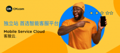 獨立站奔向海外的下半場，拼的究竟是什么？