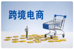 跨境電商獨(dú)立站的優(yōu)勢有哪些，新手如何入門？