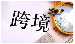 什么是獨(dú)立站，新人小白賣家該怎么做跨境電商獨(dú)立站呢？