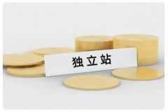 跨境電商新手小白要做獨立站？前景如何？