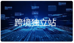 為什么跨境電商企業(yè)都偏向于選擇獨(dú)立站