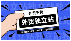 獨(dú)立站跨境電商現(xiàn)狀怎么樣??？能掙錢嗎