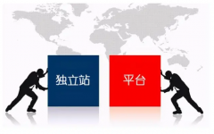 獨(dú)立站和跨境電商平臺(tái)的一個(gè)優(yōu)缺點(diǎn)對(duì)比，哪個(gè)更適合你？